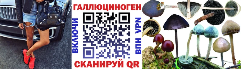 где найти наркотики  Тара  Псилоцибиновые грибы Psilocybine cubensis 