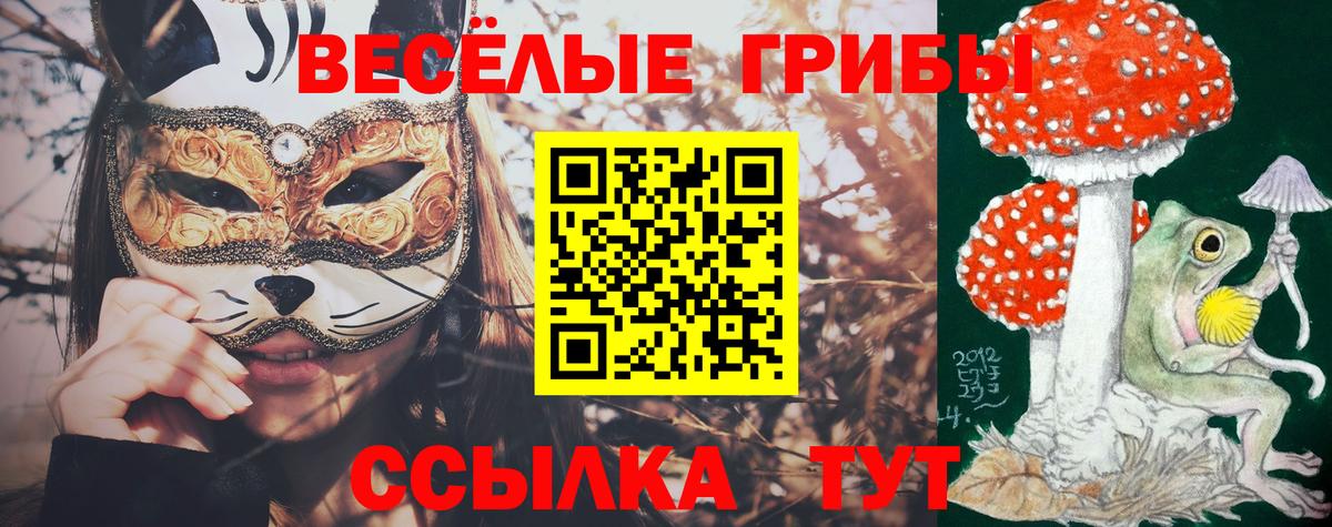 Галлюциногенные грибы MAGIC MUSHROOMS Тара