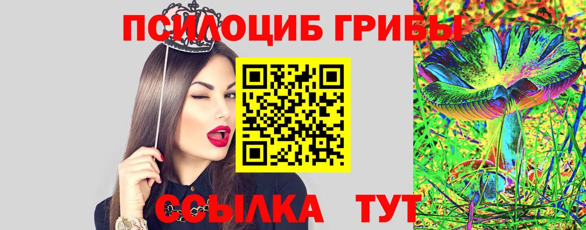 Тара  наркотики  Вход с VPN  Псилоцибиновые грибы мицелий 